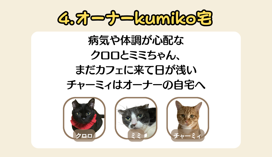 kumiko宅の猫たち