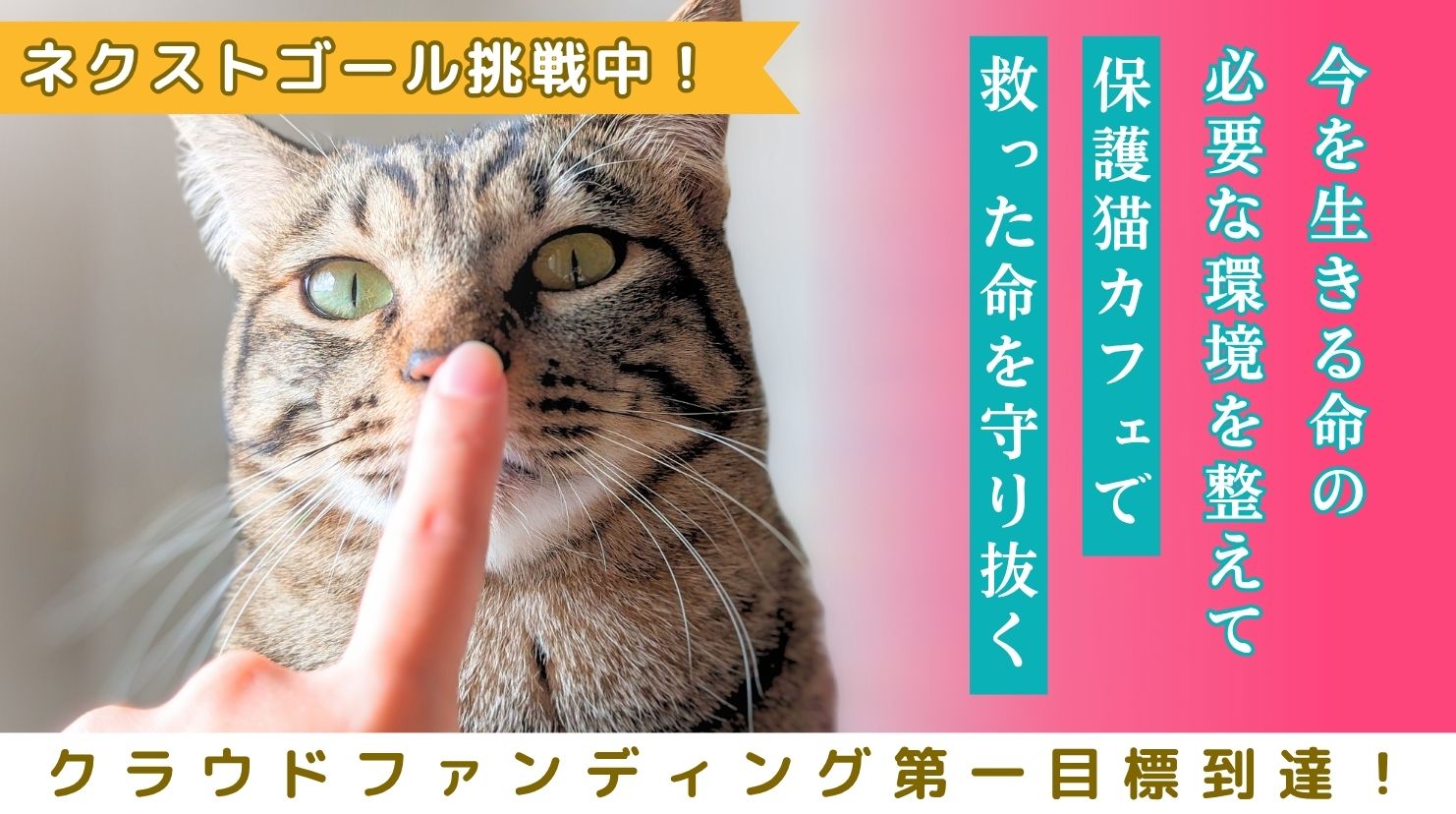 ネクストゴール挑戦中！
